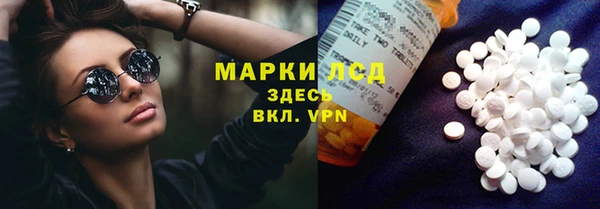 ПСИЛОЦИБИНОВЫЕ ГРИБЫ Бородино