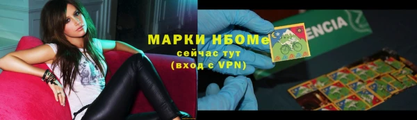 ПСИЛОЦИБИНОВЫЕ ГРИБЫ Бородино