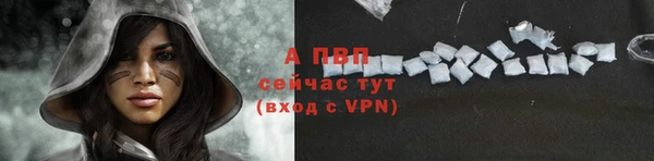 ПСИЛОЦИБИНОВЫЕ ГРИБЫ Бородино
