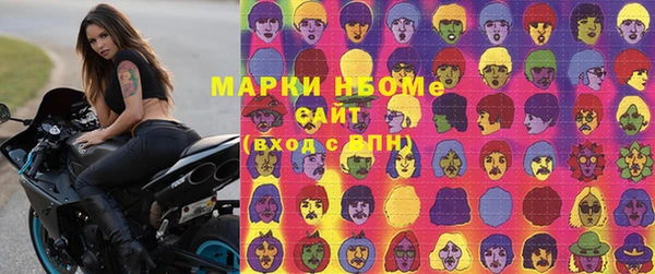 ПСИЛОЦИБИНОВЫЕ ГРИБЫ Бородино