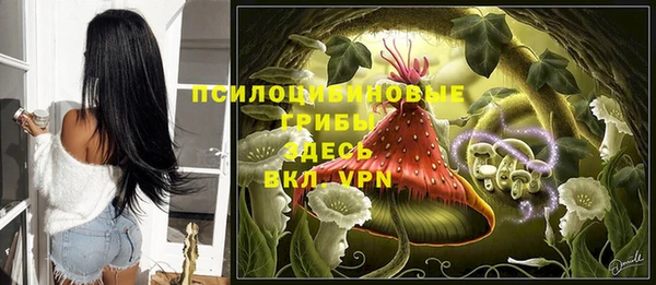 ПСИЛОЦИБИНОВЫЕ ГРИБЫ Бородино
