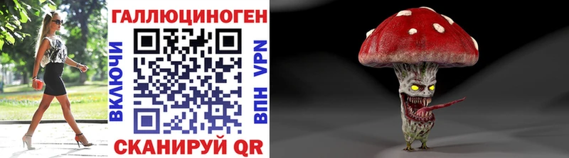 хочу наркоту  Армавир  Галлюциногенные грибы мицелий 